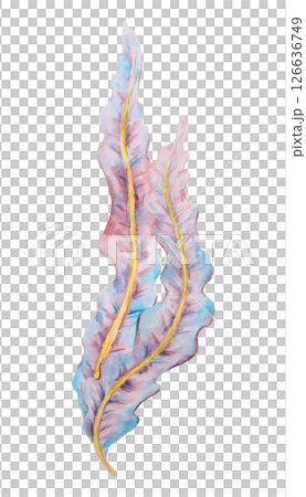 Watercolor illustration of wavy seaweed leaves in soft shades of blue, purple and yellow. Ideal for ocean-themed designs, botanical marine prints, nature studies, or underwater compositions. 126636749