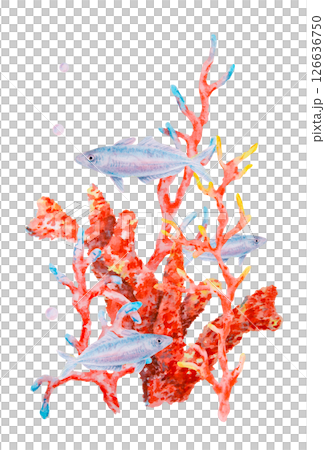 Watercolor illustration of vibrant red coral branches with small blue fish and air bubbles. Underwater marine scene perfect for sea-themed designs, prints, and ocean-related projects. Watercolor illustration of vibrant red coral branches with small blue fish and air bubbles. Underwater marine scene perfect for sea-themed designs, prints, and ocean-related projects. 126636750