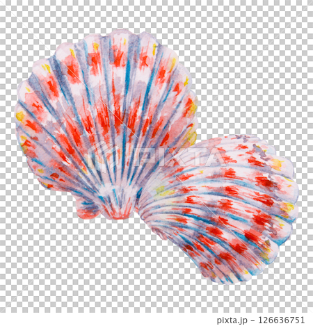 Two colorful scallop seashells painted in watercolor with vibrant red, blue, and yellow details. Artistic marine-themed illustration, suitable for summer, sea life, and beach designs. Two colorful scallop seashells painted in watercolor with vibrant red, blue, and yellow details. Artistic marine-themed illustration, suitable for summer, sea life, and beach designs. 126636751