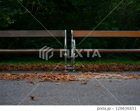 Two benches close up. Autumn colored fallen leaves lie on the ground. Park Turkenschanzpark in Vienna in autumn 126636831