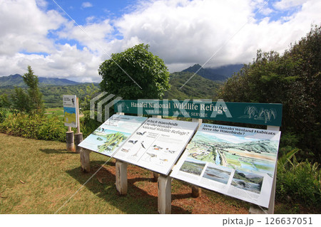 カウアイ島 ハナレイ渓谷展望台 カウアイ島 ハナレイ渓谷展望台 126637051