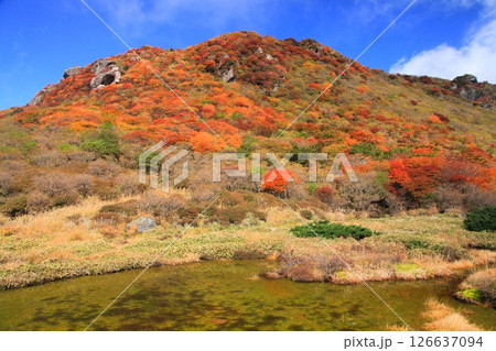 紅葉の星生山（くじゅう連山・大分県九重町） 126637094