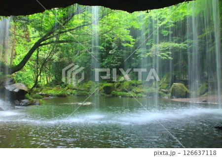 新緑の鍋ヶ滝(熊本県小国町) 新緑の鍋ヶ滝(熊本県小国町) 126637118
