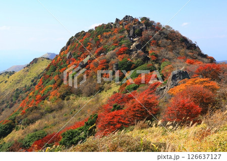 紅葉の沓掛山(くじゅう連山・大分県九重町) 紅葉の沓掛山(くじゅう連山・大分県九重町) 126637127