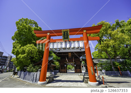 伊豫豆比古命神社 鳥居 愛媛県松山市 伊豫豆比古命神社 鳥居 愛媛県松山市 126637353