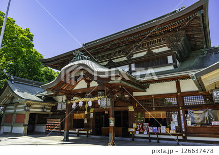 伊豫豆比古命神社　拝殿　愛媛県松山市 126637478