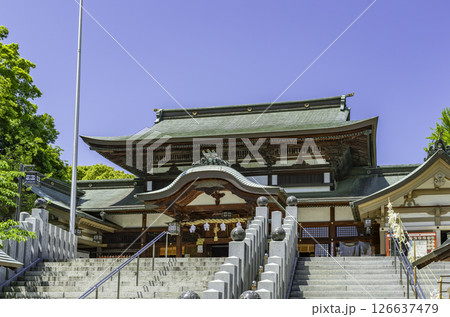 伊豫豆比古命神社 拝殿 愛媛県松山市 伊豫豆比古命神社 拝殿 愛媛県松山市 126637479