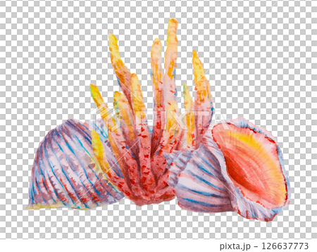 Watercolor composition of colorful coral and spiral seashells in red, yellow, violet, and orange tones. Ideal for ocean-themed designs, summer invitations, beach decor, or marine patterns. 126637773