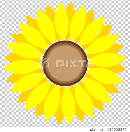 Simple sunflower icon 126638275
