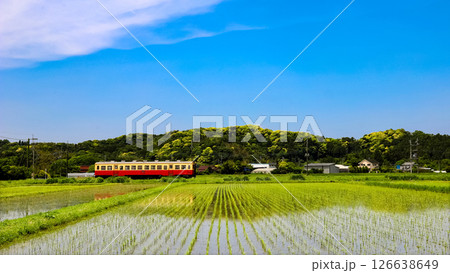 初夏の田園地帯を走る列車 126638649