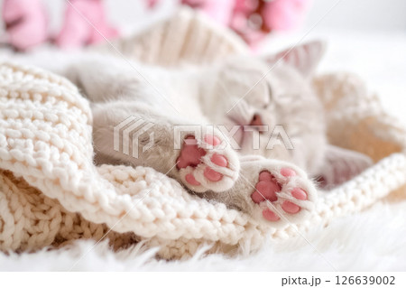 肉球を見せながら眠る子猫 126639002