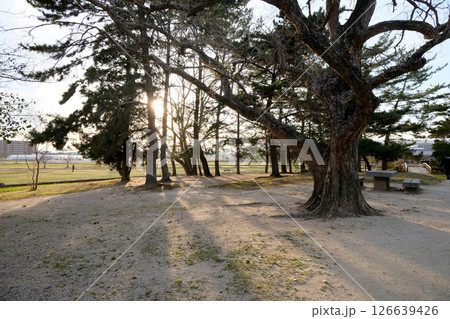 岡山県岡山市_備中高松城跡10_2025年3月 126639426