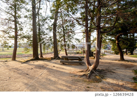 岡山県岡山市_備中高松城跡12_2025年3月 126639428