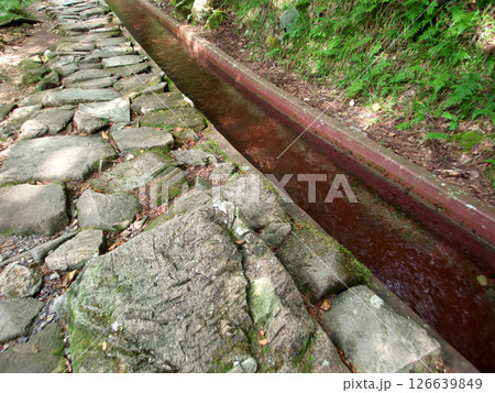 森の中の石畳と澄んだ水の流れる水路 森の中の石畳と澄んだ水の流れる水路 126639849