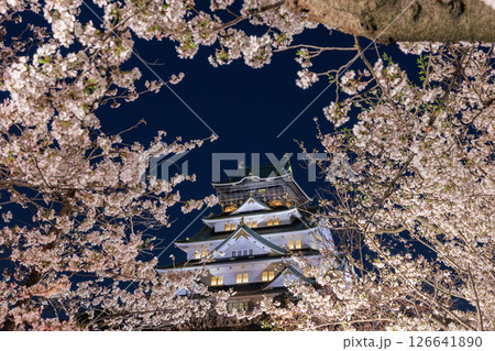大阪城の桜ライトアップ (大阪府大阪市中央区) 126641890