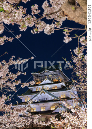 大阪城の桜ライトアップ (大阪府大阪市中央区) 大阪城の桜ライトアップ (大阪府大阪市中央区) 126641891
