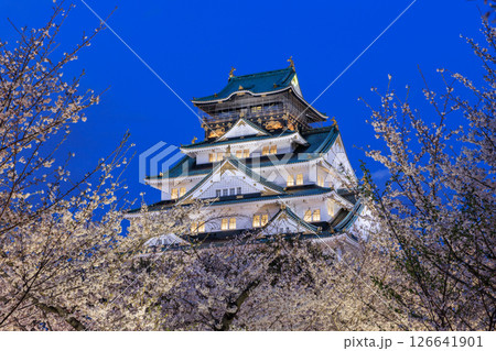 大阪城の桜ライトアップ (大阪府大阪市中央区) 126641901