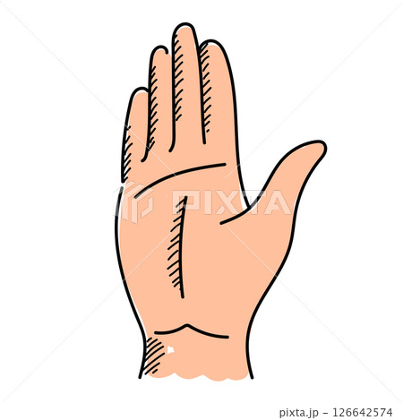 Palm of the hand vector isolated 126642574