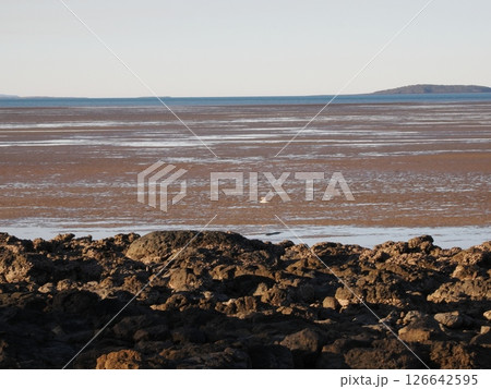 Clairview Boat Ramp付近の干潮時の風景 Queensland Australia Clairview Boat Ramp付近の干潮時の風景 Queensland Australia 126642595
