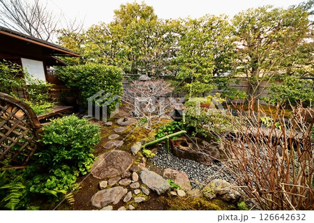 京都府　東寺 観智院・楓泉観の露地庭　京都市 南区 九条町　2022年2月 126642632