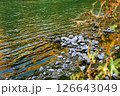 Riverside 126643049
