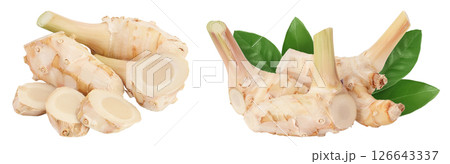 Fresh galangal root with slices isolated on white background with full depth of field. 126643337