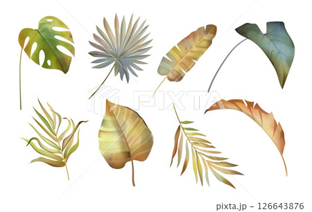 Watercolor leaf. Dry palm foliage, floral branch or botanical exotic flowers. Green and dry palm leaves. Bohemian or tropical isolated decorative vintage bohemian jungle. Vector design set Watercolor leaf. Dry palm foliage, floral branch or botanical exotic flowers. Green and dry palm leaves. Bohemian or tropical isolated decorative vintage bohemian jungle. Vector design set 126643876