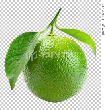Lime with leaves 126644213