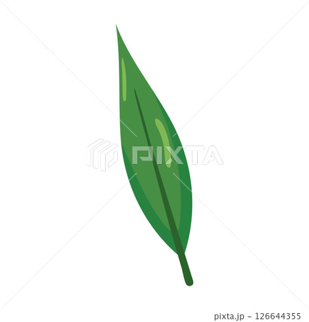 Green narrow leaf icon. Vector Green narrow leaf icon. Vector 126644355