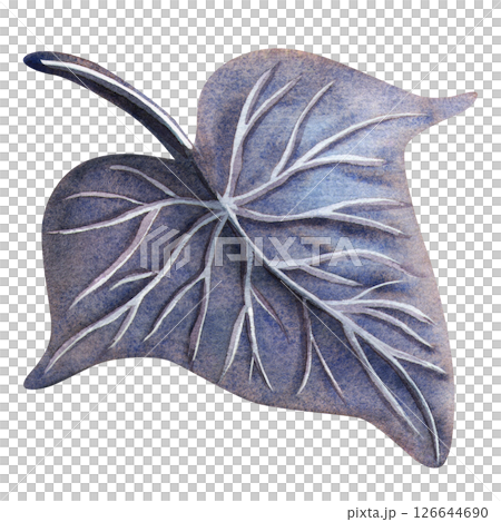 Dark purple ivy leaf. Gothic botanical isolated watercolor illustration. Perfect for Halloween design, gothic stationery, or dark bouquet and print. Detailed mystical floral element for postcard, card 126644690