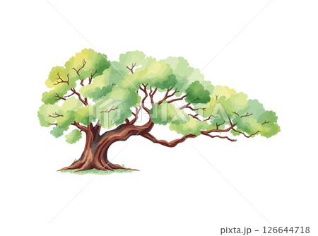 Sprawling tree with a lush crown. 126644718