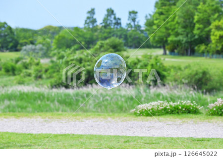 新緑の公園とシャボン玉　シャボン玉と新緑の風景　イメージ素材　背景素材 126645022