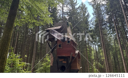 Playhouse in the forest with wooden slide and towers for children adventure and fun 126645111