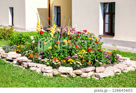 Beautiful flower bed with various plants and flowers Beautiful flower bed with various plants and flowers 126645603