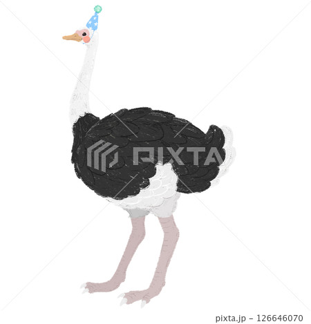 パーティーの帽子を被った手描きの可愛いダチョウのイラスト 126646070