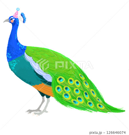 パーティーの帽子を被った手描きの可愛いクジャクのイラスト 126646074