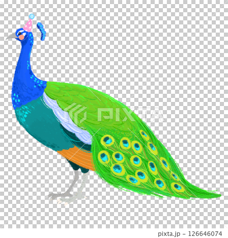 パーティーの帽子を被った手描きの可愛いクジャクのイラスト 126646074