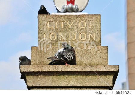 シティ・オブ・ロンドンの碑（ロンドン） 126646529