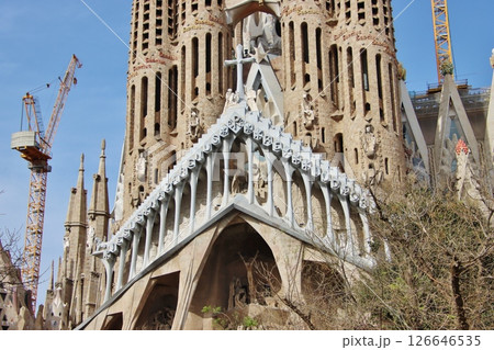 サグラダ・ファミリア Sagrada Familia（バルセロナ） 126646535