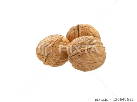 Walnut, nut, isolated on white Walnut, nut, isolated on white 126646613