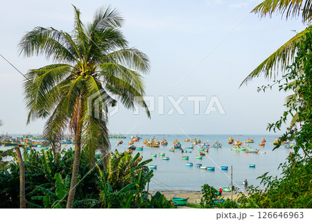 Tropical palm trees overlook fishing boats floating peacefully on calm waters of a Vietnamese bay Tropical palm trees overlook fishing boats floating peacefully on calm waters of a Vietnamese bay 126646963