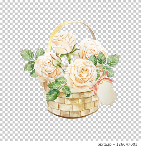 Roses in peach color. Bouquet of flowers and leaves in a wicker basket. Hand drawn watercolor illustration isolated. Birthday greeting cards, mothers day, wedding invitations, labels, banners, posters 126647003