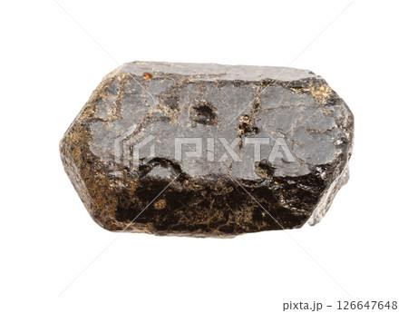 rough augite crystal mineral isolated on white 126647648