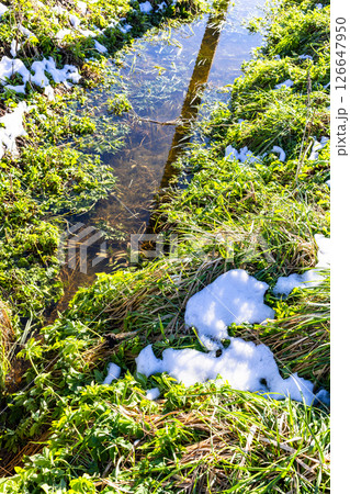 freshly fallen snow on green grass near ditch freshly fallen snow on green grass near ditch 126647950