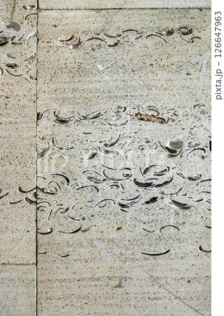 tile from shell rock stone with fossilized shell 126647963