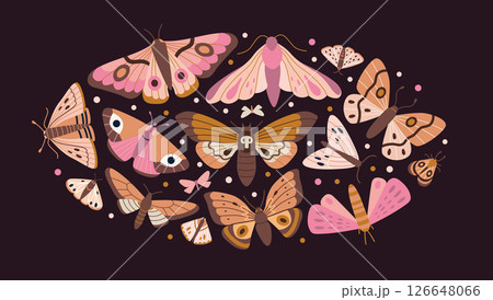 Round composition with various moths, hawkmoths and night butterflies in pink brown palette on dark background. Nocturnal insect collection. Trendy modern vector illustration, hand drawn, flat design 126648066