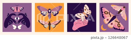 Square compositions with night moths, hawkmoths and hand gestures. Nocturnal insect collection. Ethereal dark modern vector art for esoteric designs, hand drawn, flat style Square compositions with night moths, hawkmoths and hand gestures. Nocturnal insect collection. Ethereal dark modern vector art for esoteric designs, hand drawn, flat style 126648067