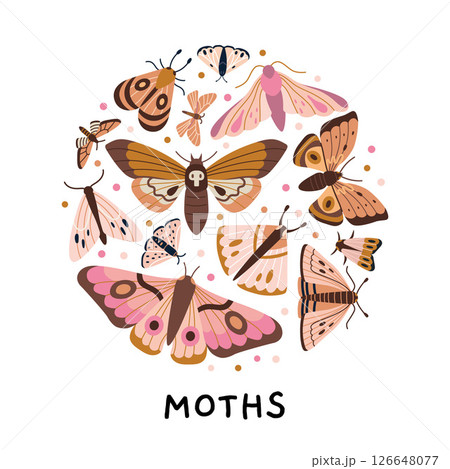 Circle composition with various moths, hawkmoths and night butterflies in pink brown palette on white background. Nocturnal insect collection. Modern vector illustration, hand drawn, flat design. 126648077