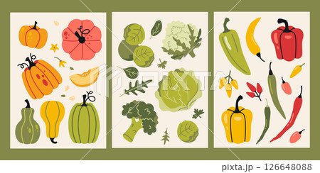 Vertical cards with pumpkins, cabbage, broccoli, Brussels sprouts, arugula, spinach and peppers. Healthy eating, vitamins and natural nutrition. Trendy modern vector illustrations, flat 126648088