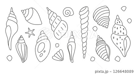 Line art set of various spiral seashells with editable unexpanded outlines, stroke in curves. Doodle style vector illustration perfect for coloring books, educational materials and marine themes 126648089